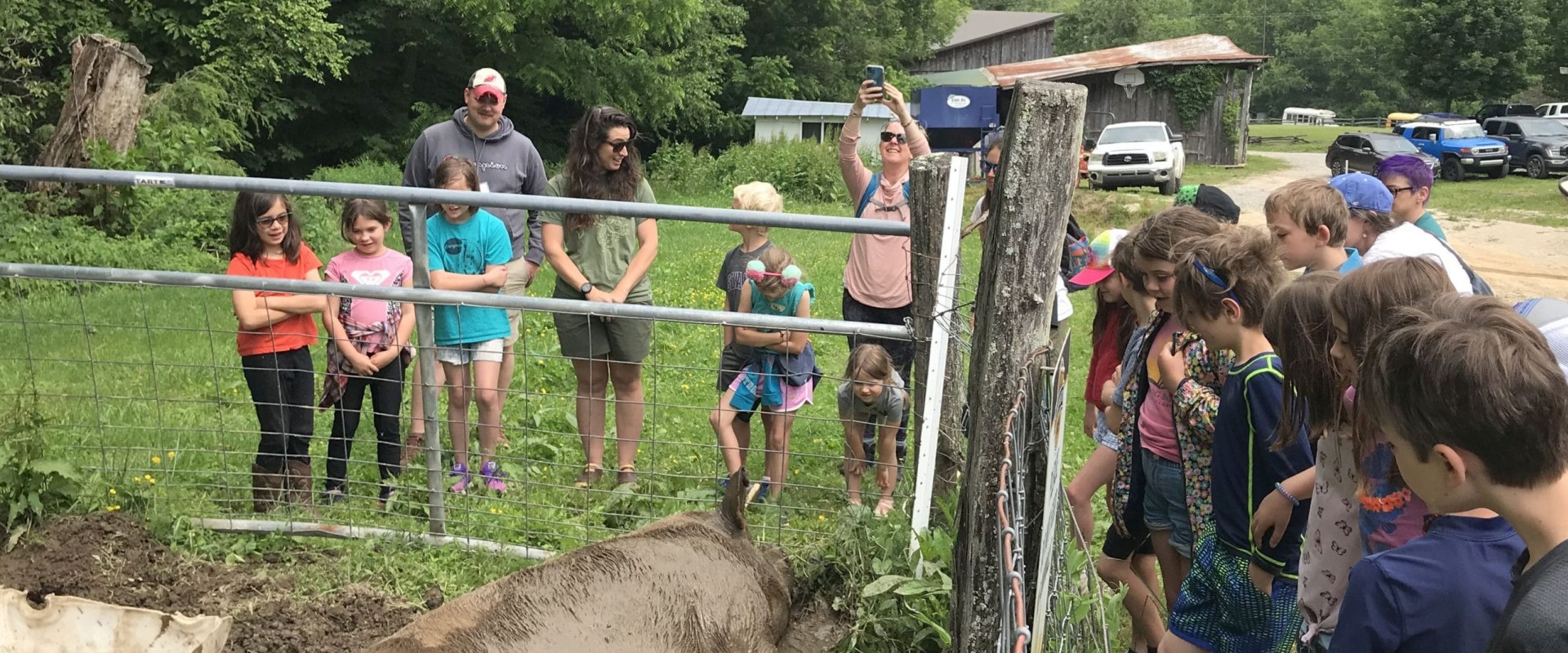 Exploring Discounts for Large Groups and School Field Trips on Farm Tours
