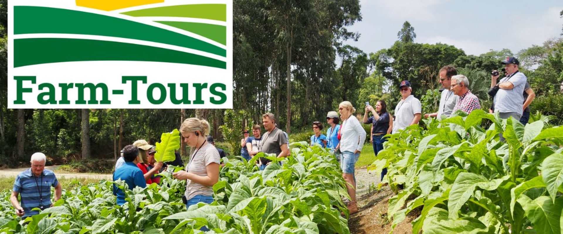 Exploring Discounts and Promotions for Farm Tours: What You Need to Know
