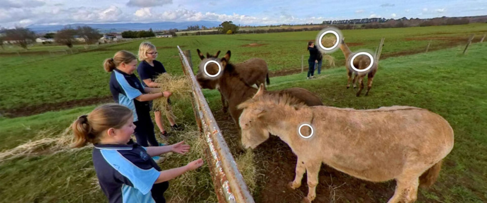 Exploring the Interactive Experiences of Farm Tours