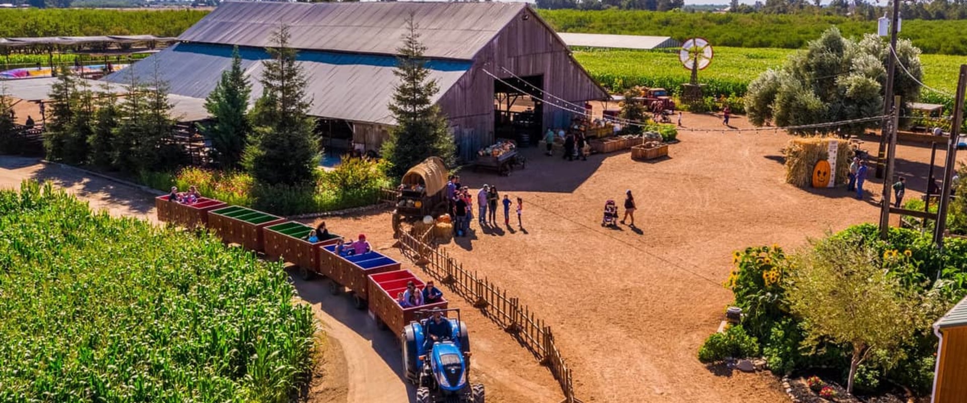 Exploring Farm Tours: Can You Bring Your Own Food or Snacks?