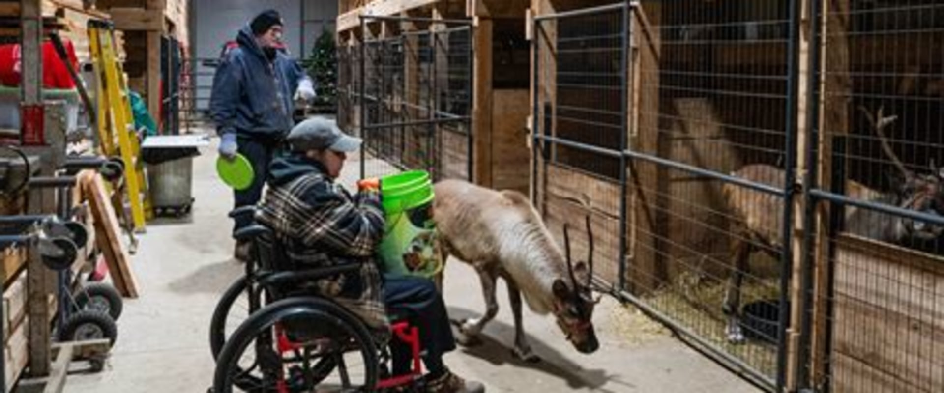 Exploring Accessibility: Farm Tours for Individuals with Disabilities