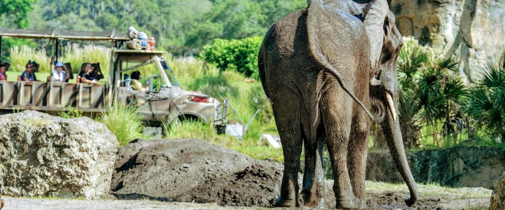 Exploring the Animal Kingdom: What You Can Expect on a Farm Tour