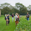 What to Expect on a Farm Tour: Refreshments, Snacks, and More