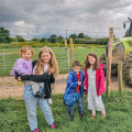 Exploring Farm Tours: A Family-Friendly Experience