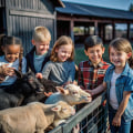 Exploring Farm Tours: Interacting with Animals and What to Expect