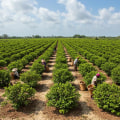 Understanding the Costs of Farm Tours: What to Expect