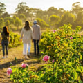 Exploring the Diverse Terrain of Farm Tours: A Journey Through Nature