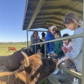 Understanding Age Requirements for Farm Tours: What Parents Need to Know