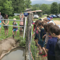 Exploring Discounts for Large Groups and School Field Trips on Farm Tours