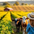 Exploring Farm Tours: Can You Bring Your Pets Along?