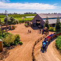 Exploring Farm Tours: Can You Bring Your Own Transportation?