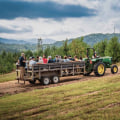 Navigating Your Way to Memorable Farm Tours