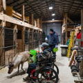 Exploring Accessibility: Farm Tours for Individuals with Disabilities