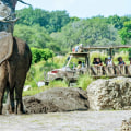 Exploring the Animal Kingdom: What You Can Expect on a Farm Tour