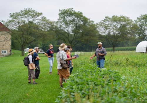 What to Expect on a Farm Tour: Refreshments, Snacks, and More
