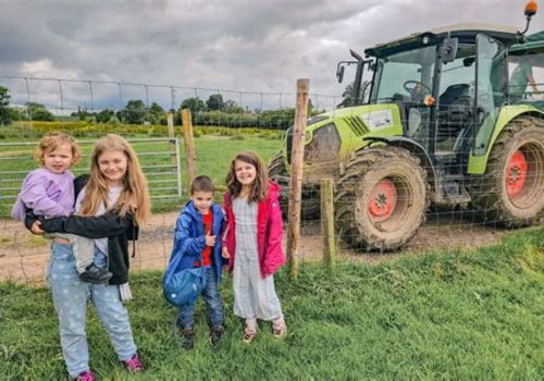 Exploring Farm Tours: A Family-Friendly Experience