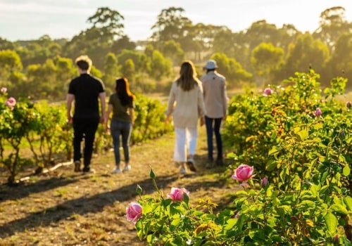 Exploring the Diverse Terrain of Farm Tours: A Journey Through Nature