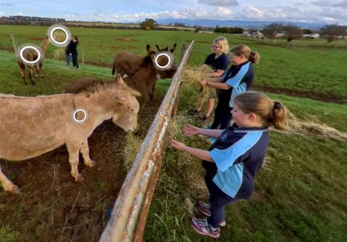 Exploring the Interactive Experiences of Farm Tours