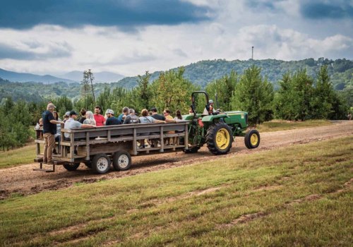 Navigating Your Way to Memorable Farm Tours