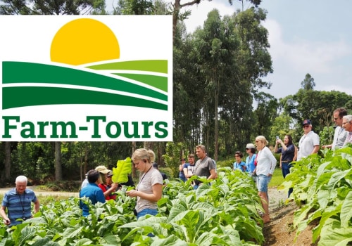 Understanding Reservations for Farm Tours: What You Need to Know