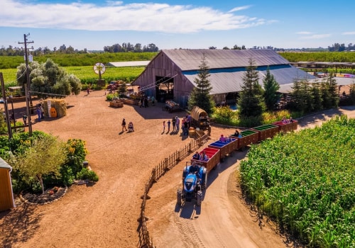 Exploring Farm Tours: Can You Bring Your Own Food or Snacks?