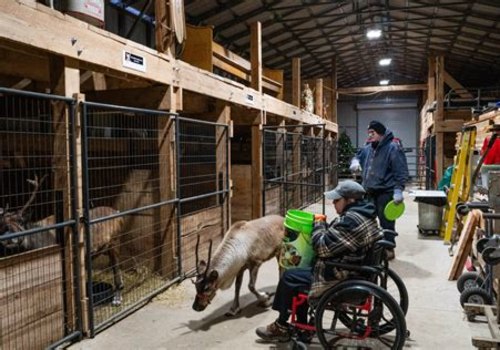 Exploring Accessibility: Farm Tours for Individuals with Disabilities