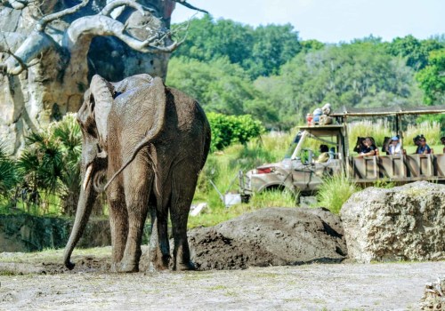 Exploring the Animal Kingdom: What You Can Expect on a Farm Tour
